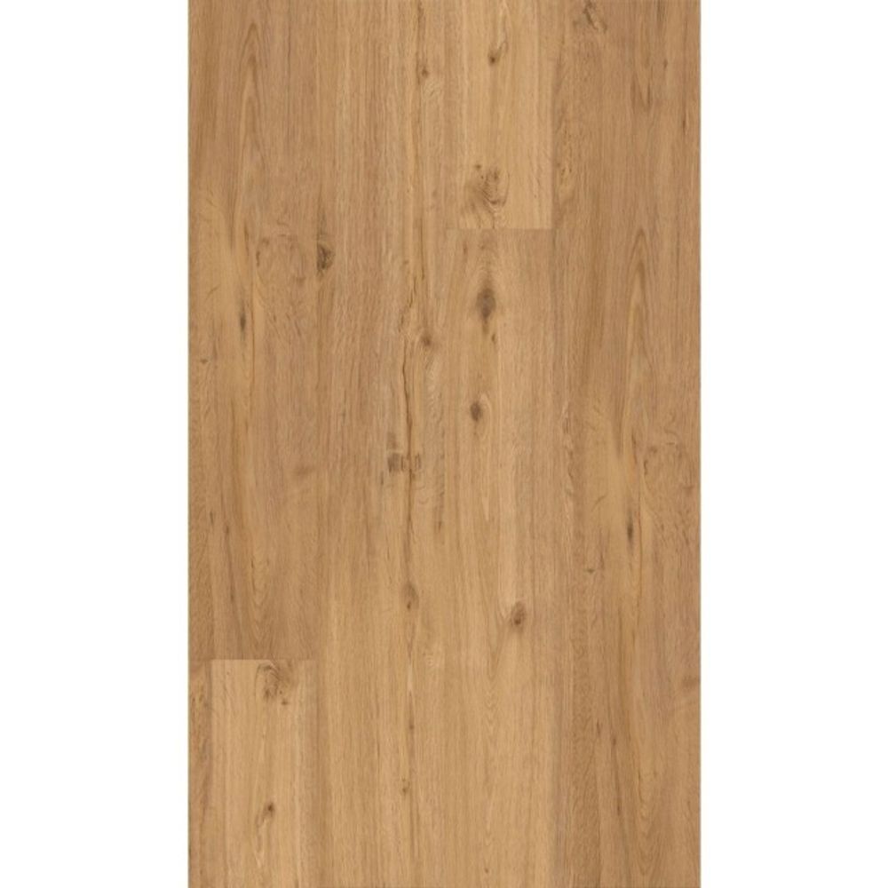 BodenBrüder No. 130 - eiche gebürstet - Vinyl- Designboden kleben  Nutzschicht 0,3 mm