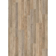 BodenBrüder Nr. 54 - Klick-Vinyl-Designbelag Wohnbereich 0,3 mm Nutzschicht