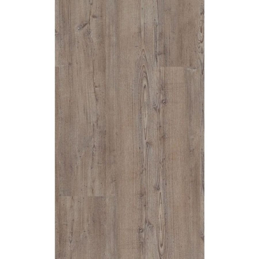 BodenBrüder Nr. 128 · Bedgebury Oak